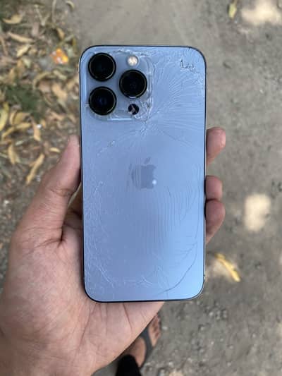 Apple iPhone 13 Pro pta approved