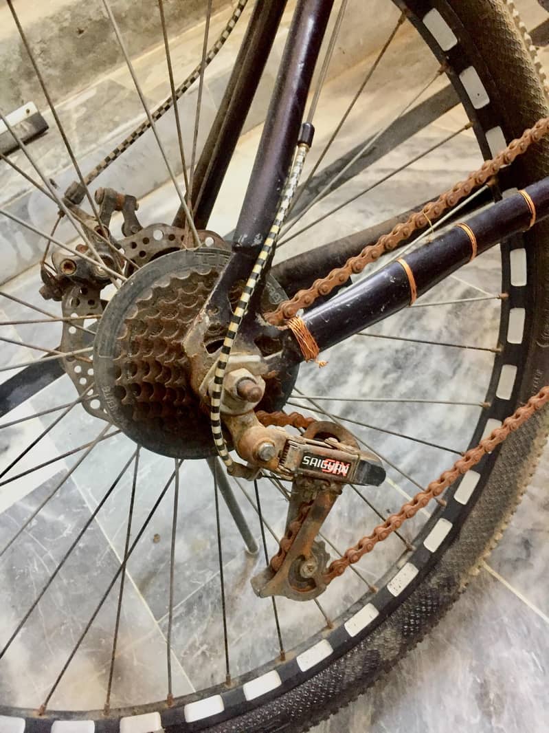 cycle 4