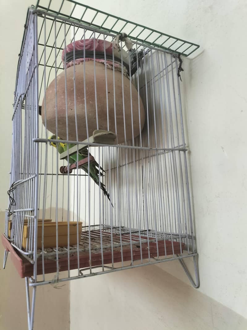 with cage 0