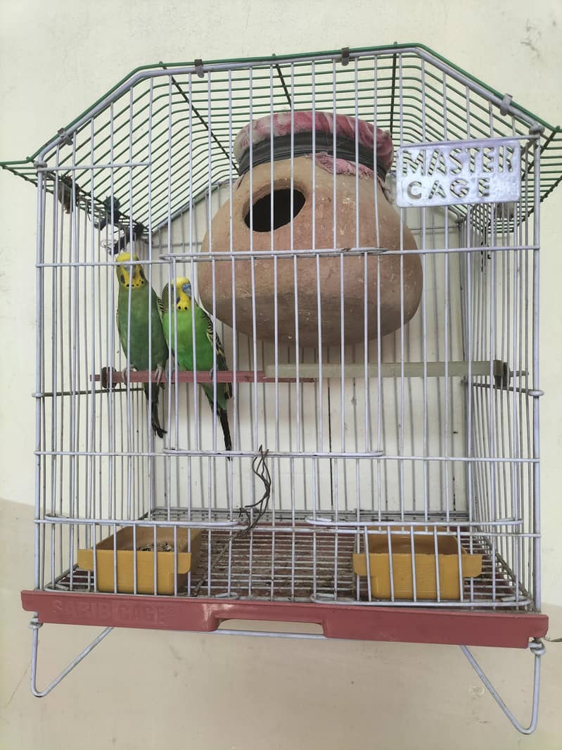 with cage 1