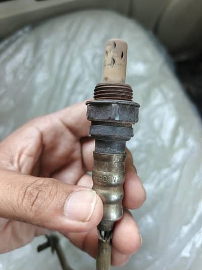 oxygen sensor