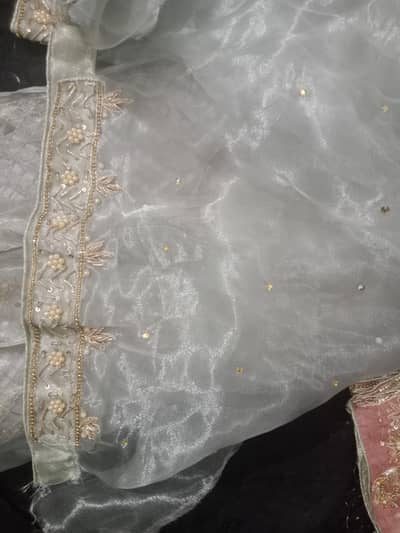 tissue silk maxi with pure duppta