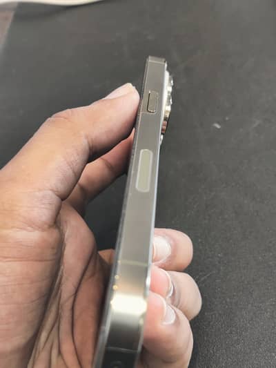 Apple iPhone 14 Pro Max non pta
