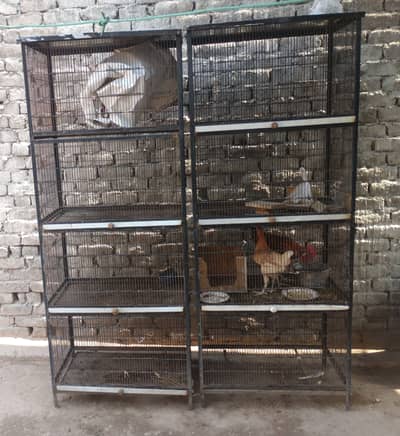 2 Best Condition Hen Cages