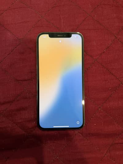 iPhone 12 Pro
