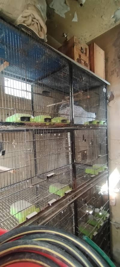 cage for sell