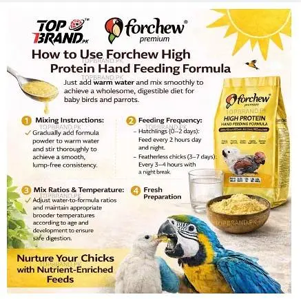 Forchew High Protein Hand Formula | Baby Parrot | 26.5% Protein | — photo 5