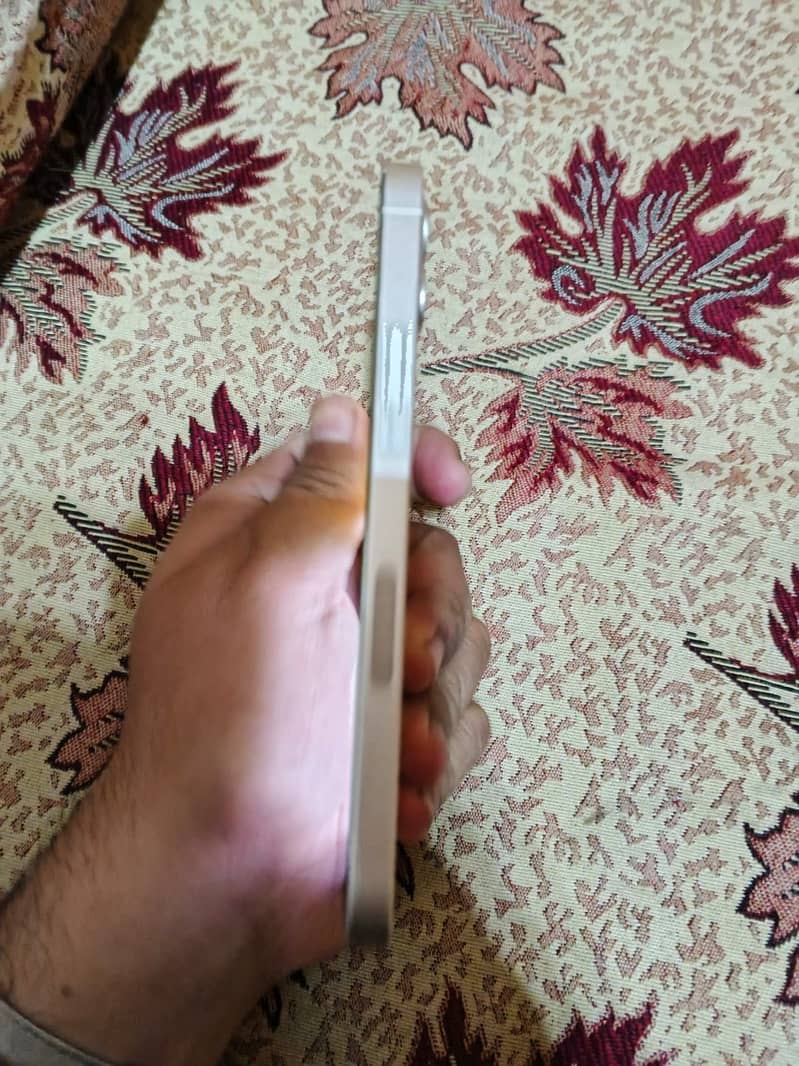 Apple iPhone 12 1