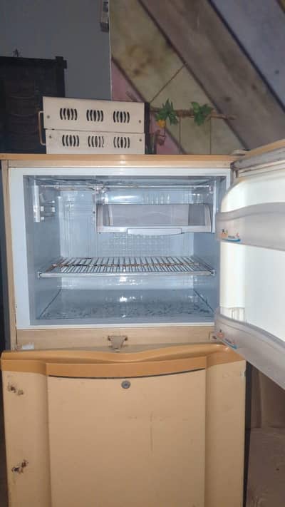 pel fridge