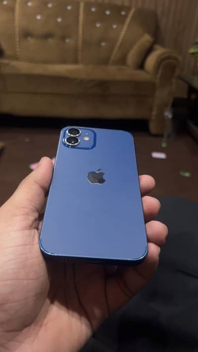 Iphone 12 128 GB Dual pta approved