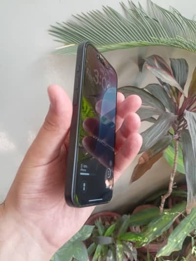 Apple iPhone 15