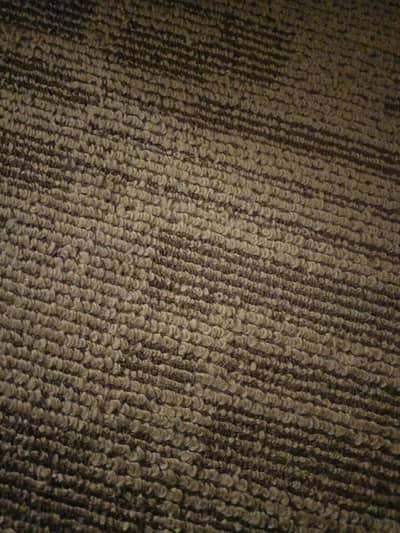 carpet neet n clean h