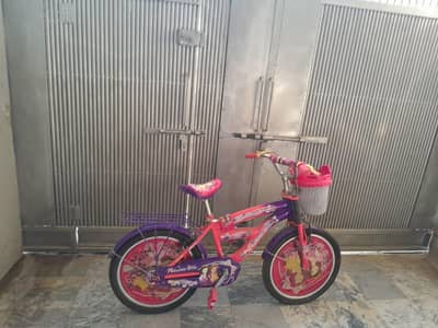 Best Bicycle