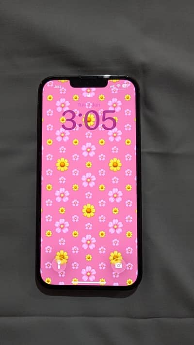 Apple iPhone 13 Pro