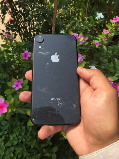 Apple iPhone XR