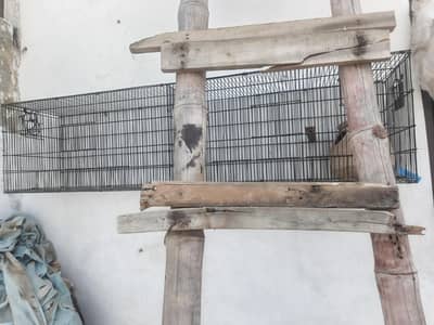 Cage for Sale