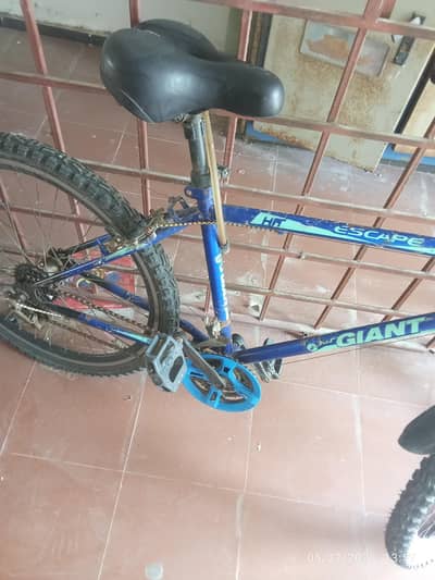 cycle/Bicycle