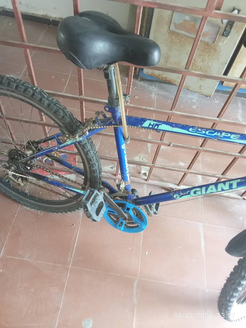 cycle/Bicycle 0