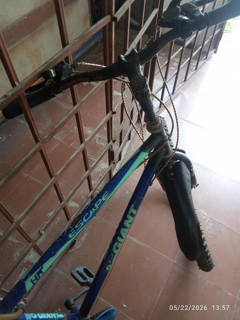 cycle/Bicycle 1