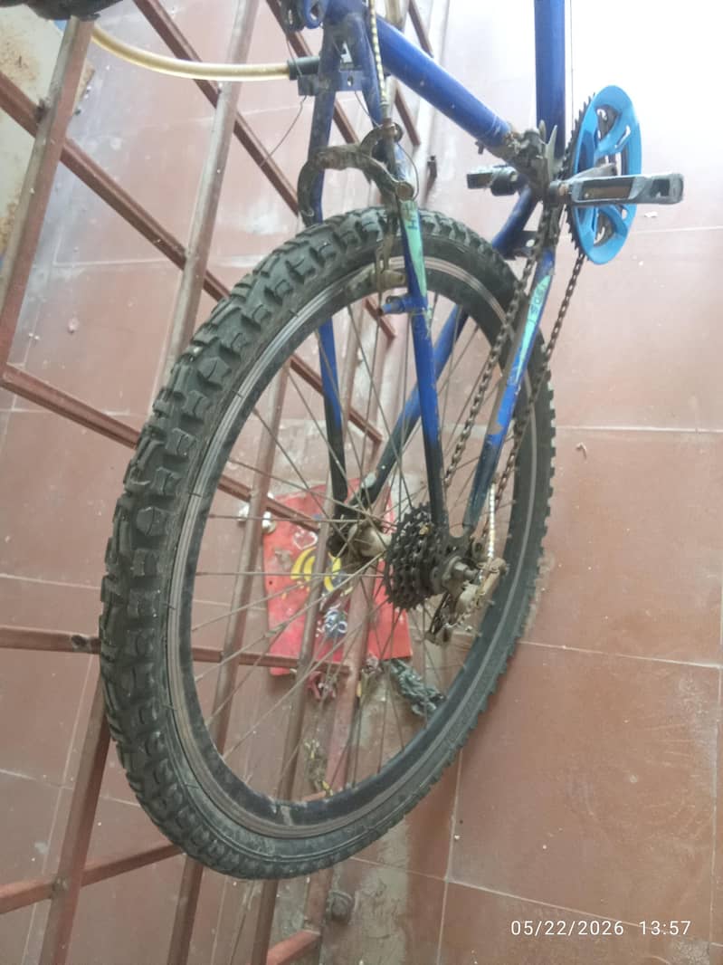 cycle/Bicycle 3