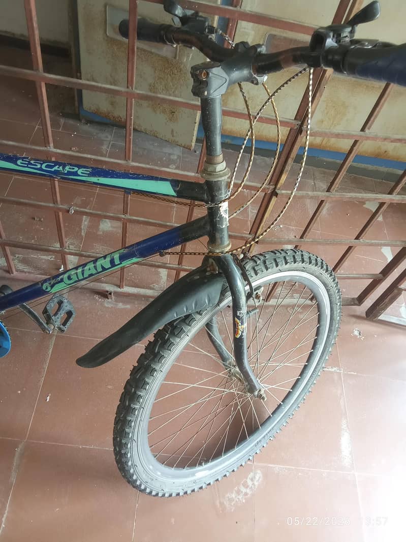 cycle/Bicycle 10