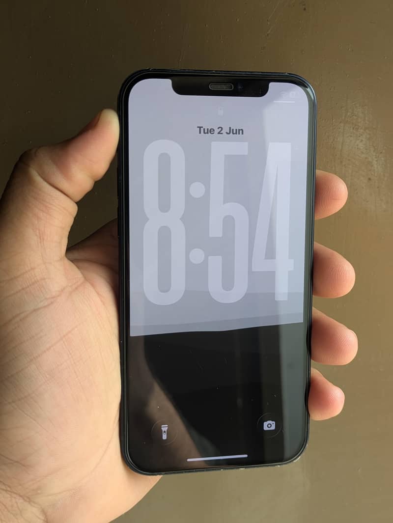 Apple iPhone 12 0