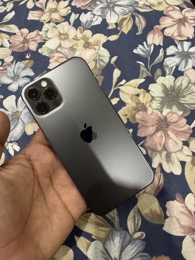 Apple iPhone 12 Pro non pta fu waterpack
