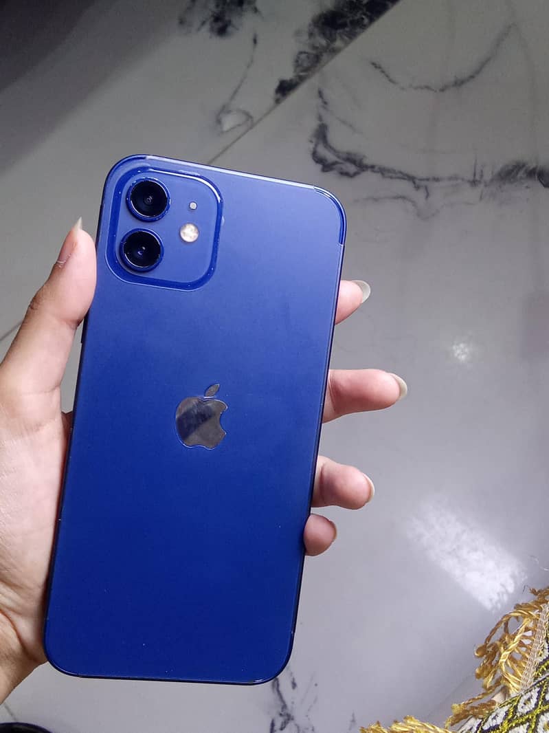 Apple iPhone 12 1