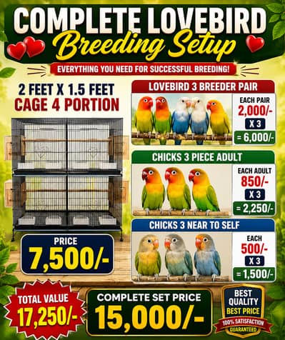 Complete Lovebird Breeding Setup | 3 Breeder Pairs + Cage + Chicks