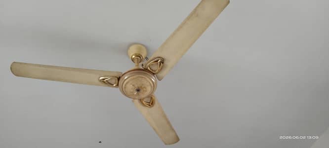 celling fan 220V