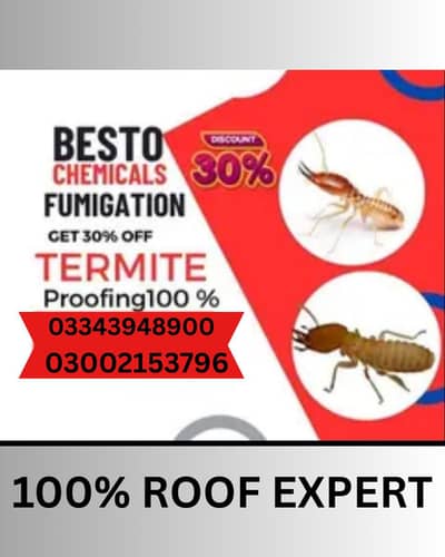 Termite Treatment | Bedbugs | Cockroach | Pest Control Services
