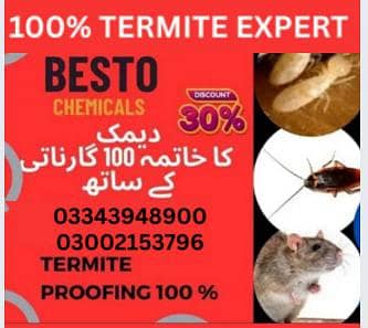 Termite Treatment | Bedbugs | Cockroach | Pest Control Services