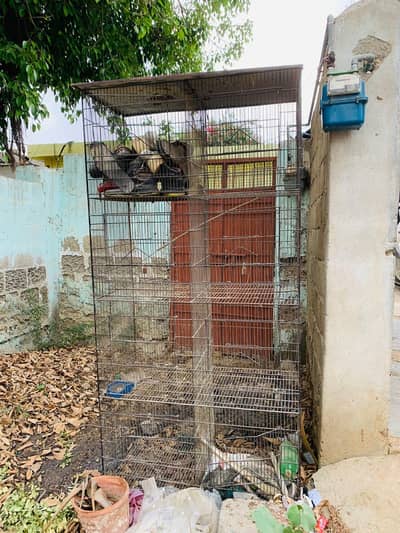 8 Box Cage