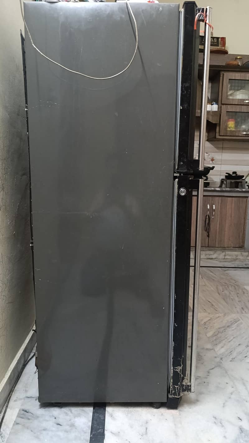 fridge 5