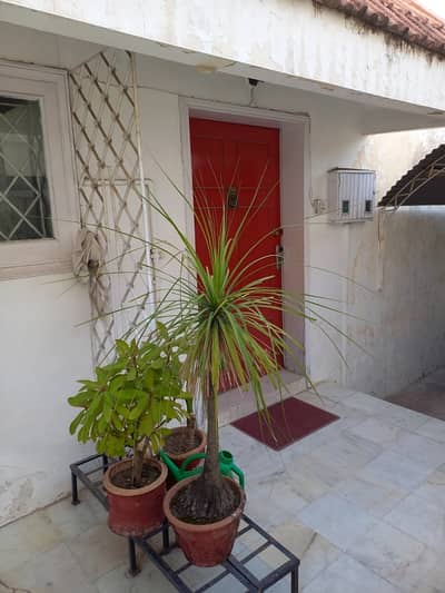 Prime Location 5 Bedroom Livable House