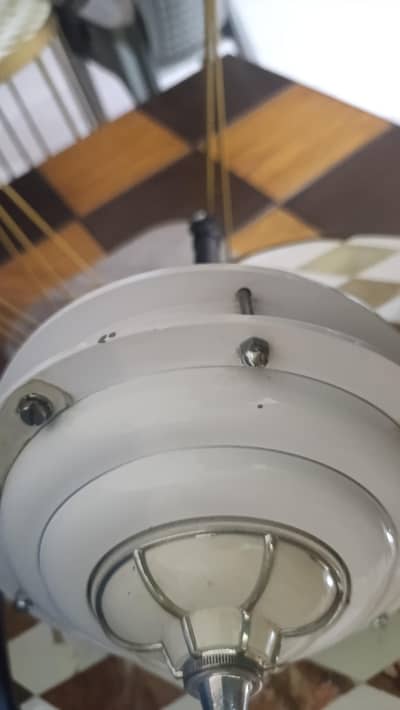 ceiling fans gfc