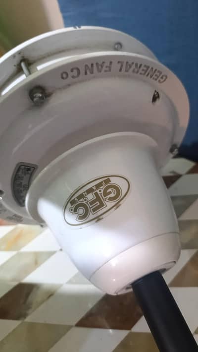 ceiling fans gfc