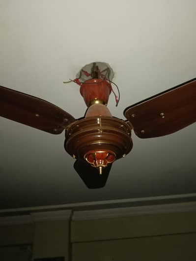 Ceiling Fans