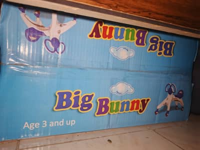 Big Bunny