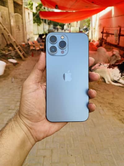 Apple iPhone 13 Pro Max