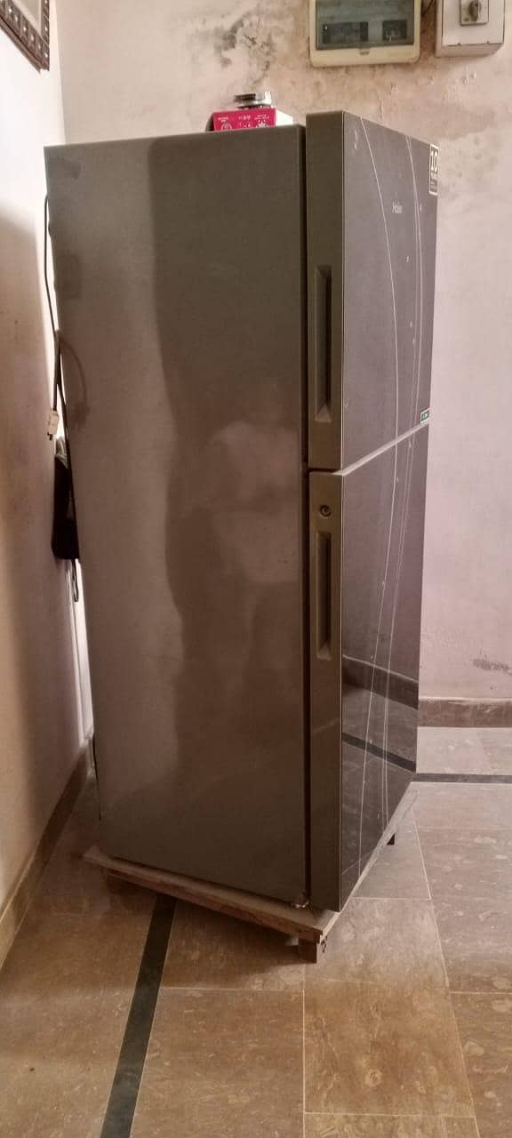 Haier 1