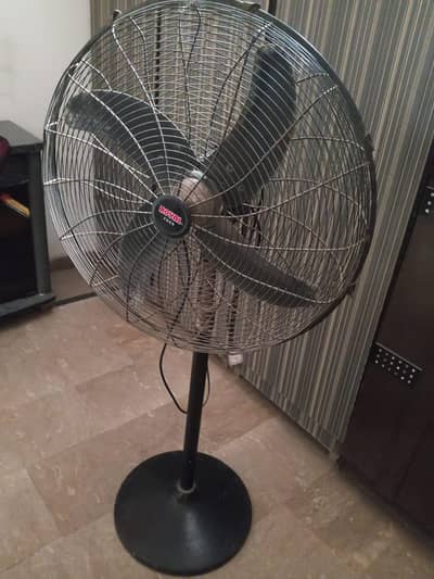 Royal Fan