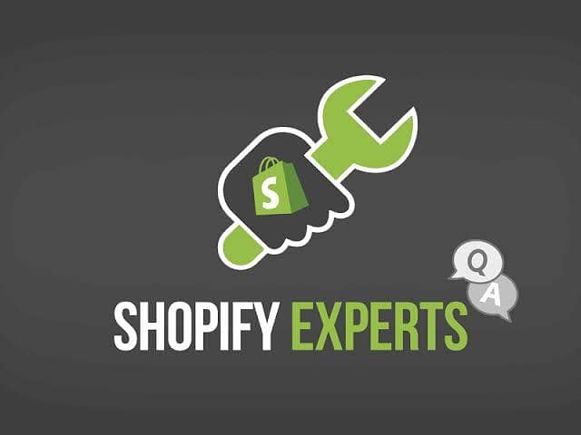 Shopify Store Developer Needed 0