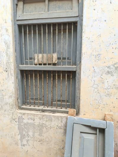 door and windows