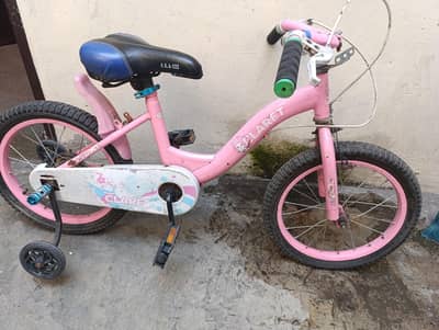 imported cycle