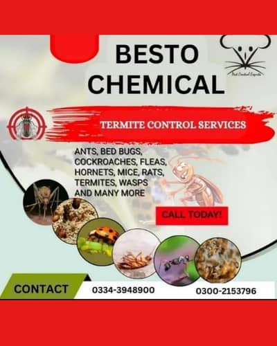 Termite Treatment | Bedbugs | Cockroach | Pest Control Services