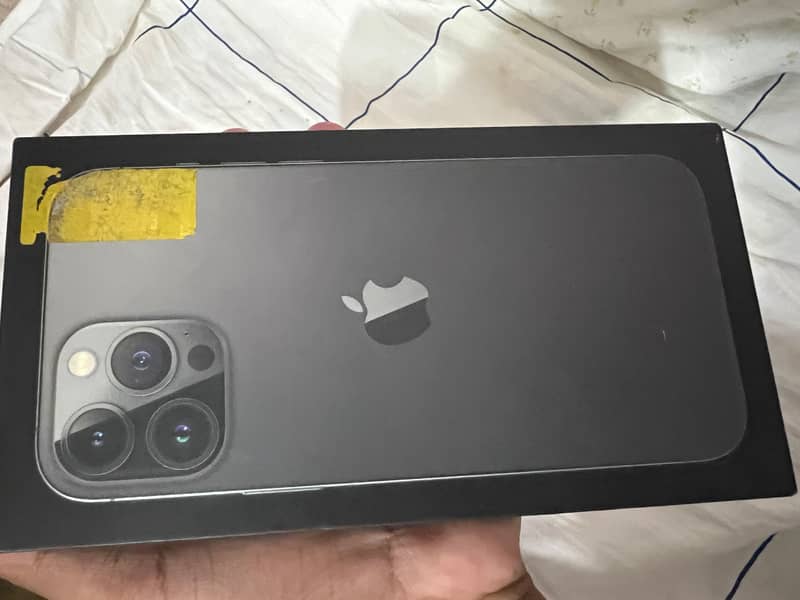 Apple iPhone 13 Pro Max 1