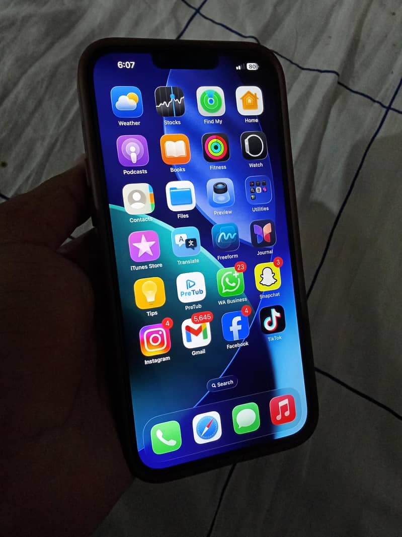 Apple iPhone 13 Pro Max 6