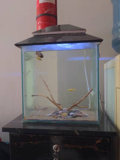Aquarium