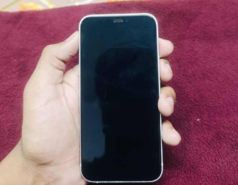 Apple iPhone 12 mini 2